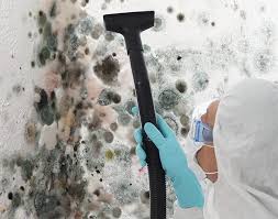 Best Forensic Mold Investigation  in Elkhart, TX